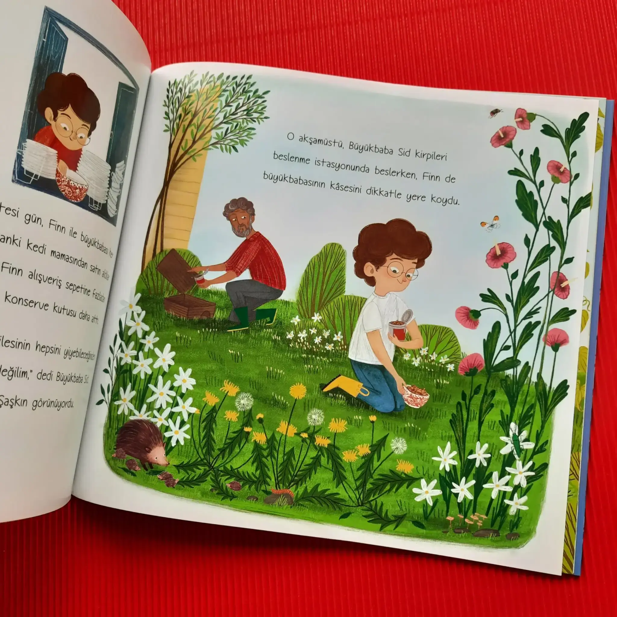 finn-ile-bahçedeki-dostları-2